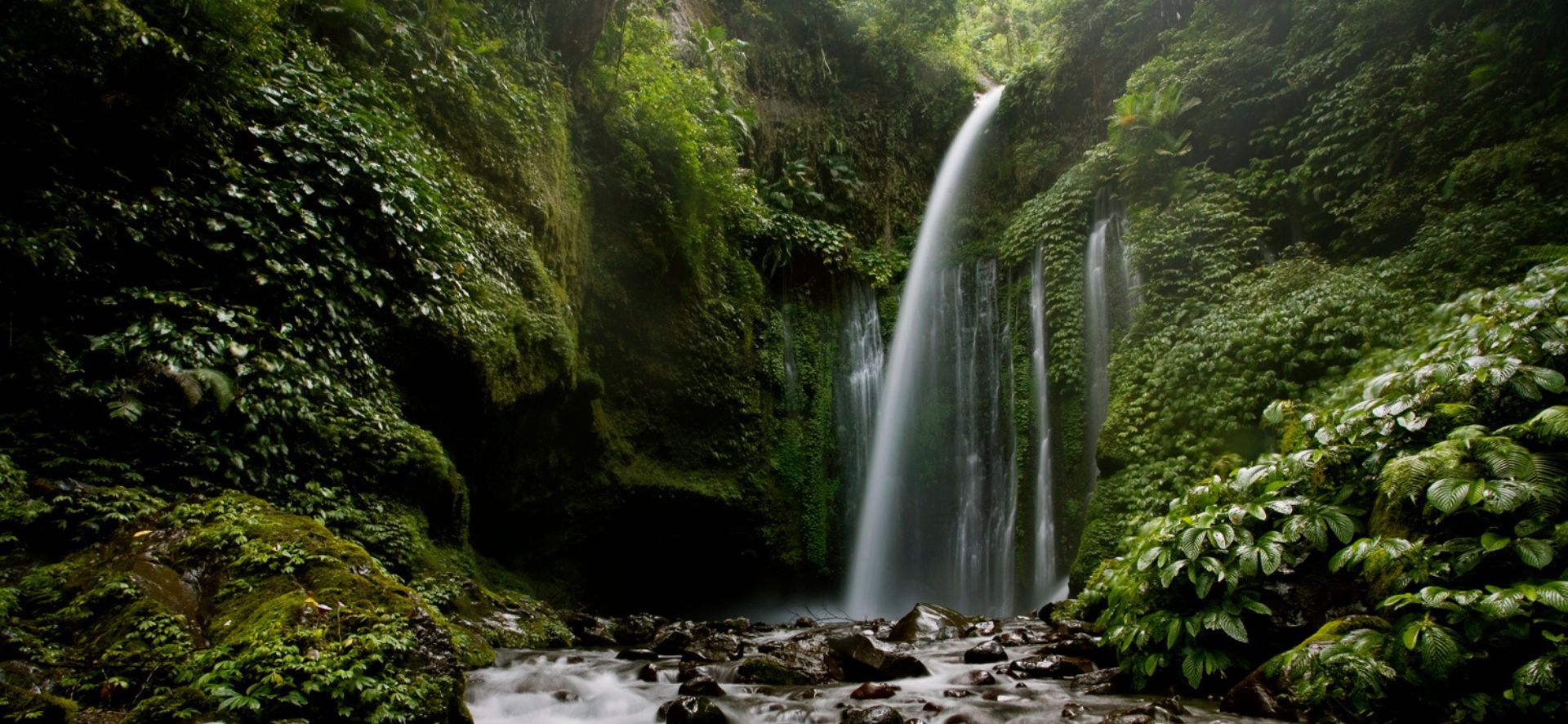 Rinjani Trekking Organizer Rinjani Trekking Organizer